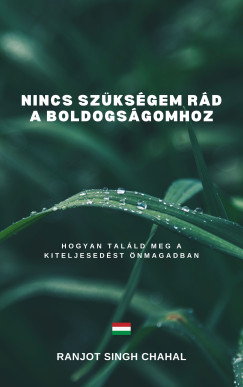 Nincs Szksgem Rd a Boldogsgomhoz